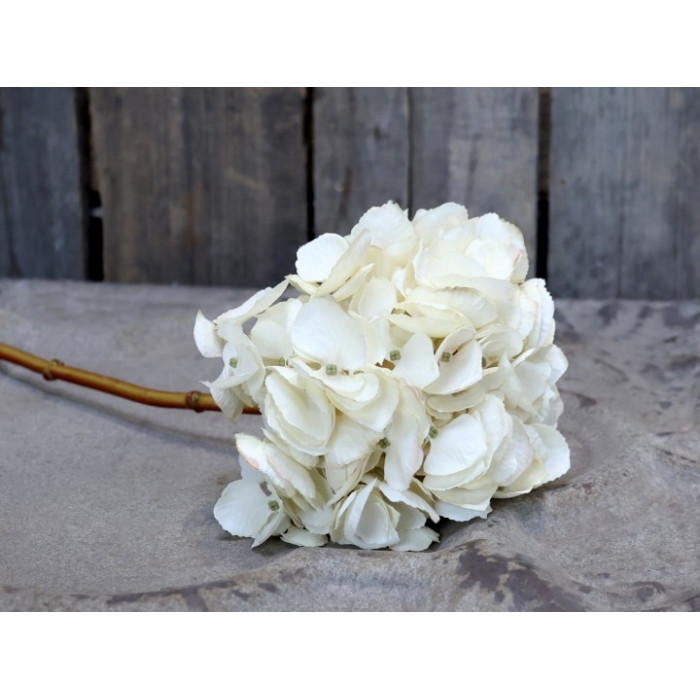 Flor de la hortensia, blanco h 46 cm